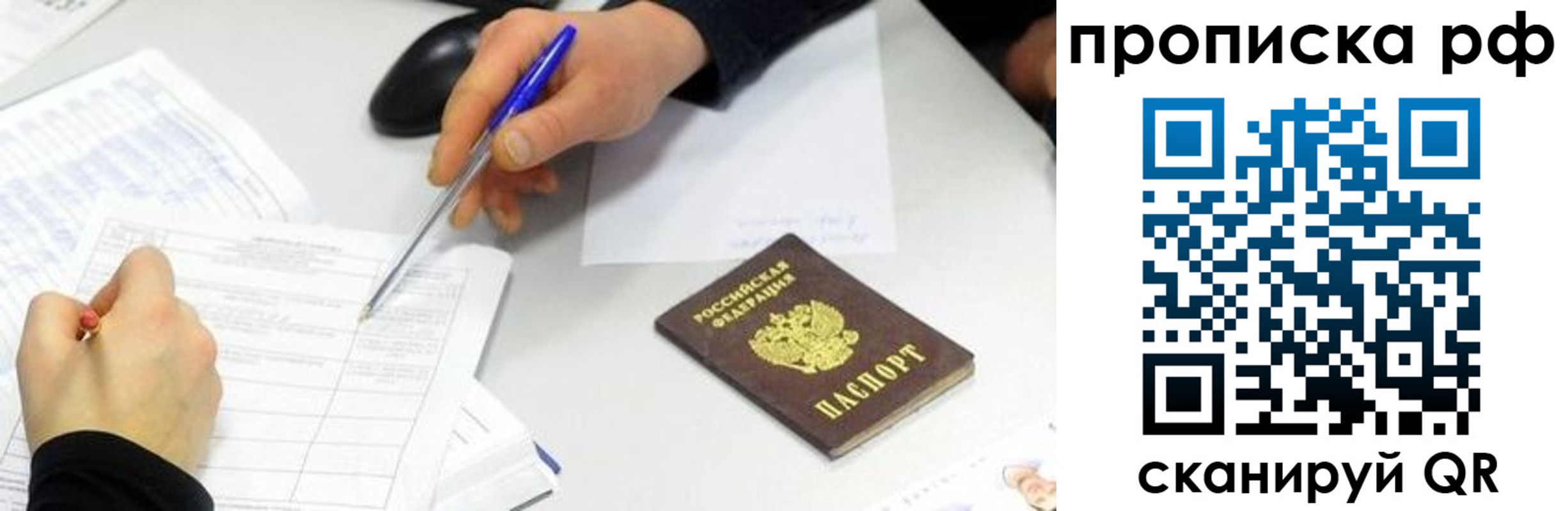 прописка штамп в Светлогорске